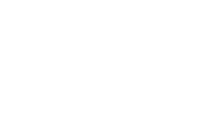 white usa flag